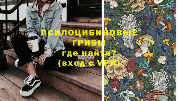 МДПВ Бронницы