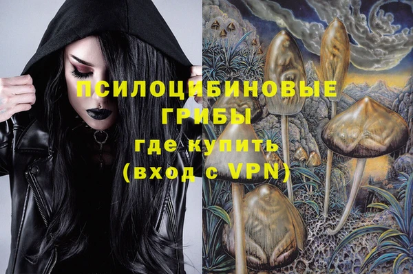 МДПВ Бронницы