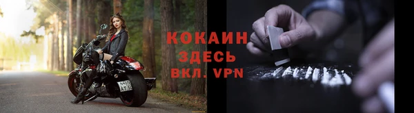 молекула духа Михайлов
