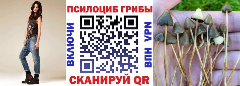 OMG tor  наркотики  Дегтярск  Галлюциногенные грибы прущие грибы 